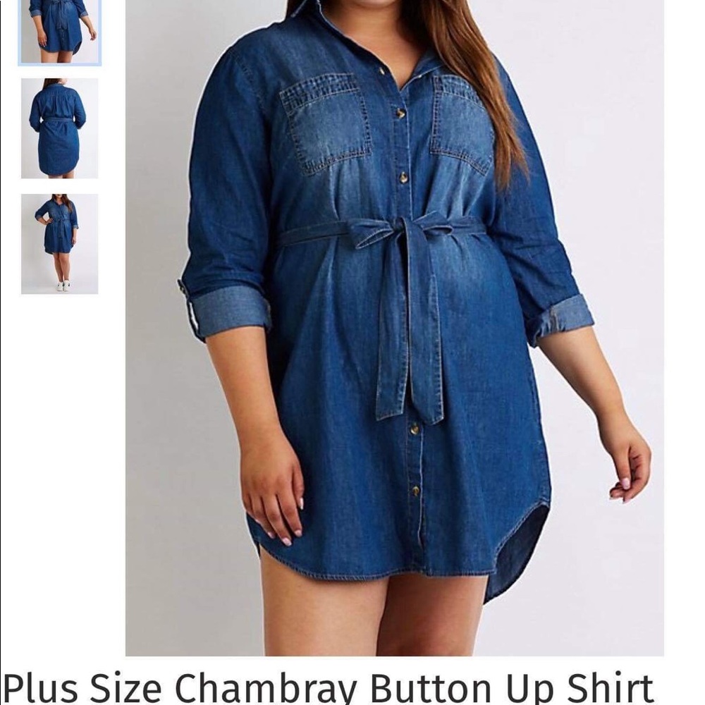 BNWOT Denim Shirt Dress